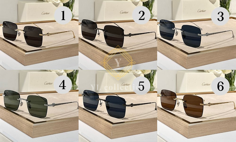 까르띠에 아이웨어 파샤 드 선글라스