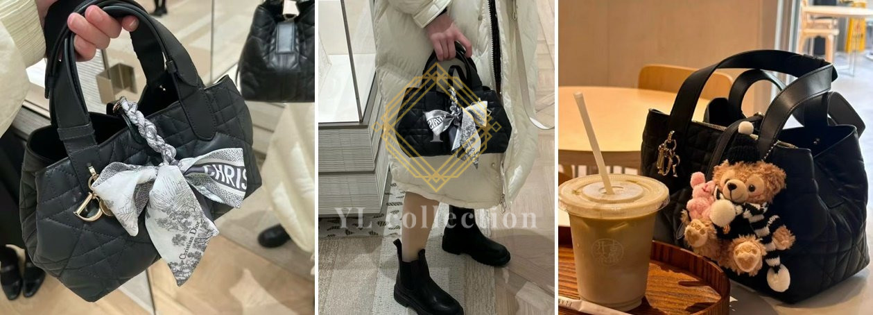 디올 뚜주흐 스몰 백