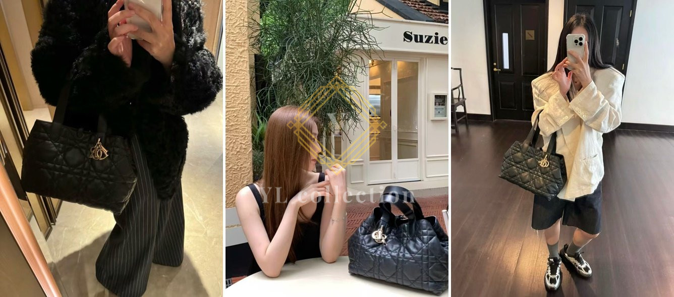 디올 뚜주흐 미디엄 백