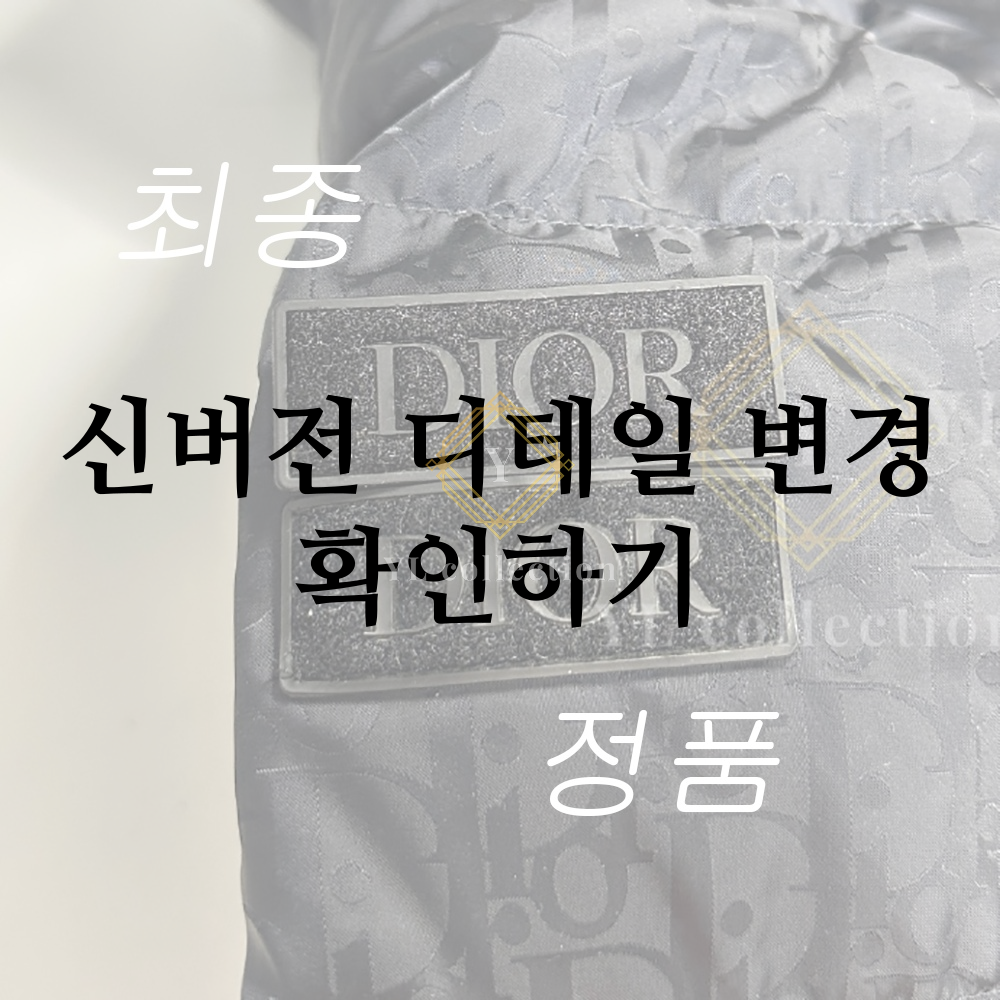 ????버전 2 디올 오블리크 패딩 자켓