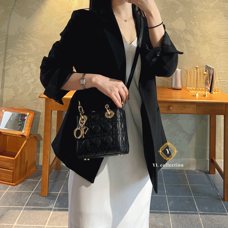 디올 레이디 미니 탑핸들백